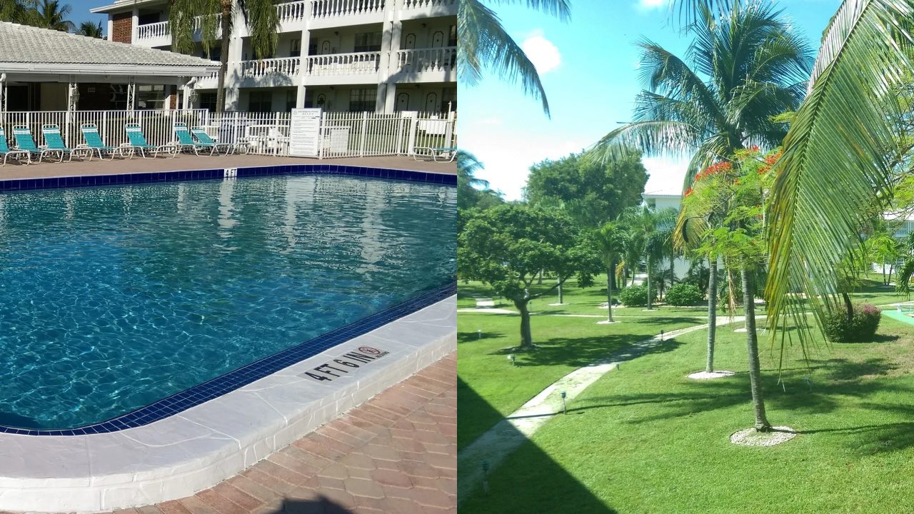 A pool and some trees in the background